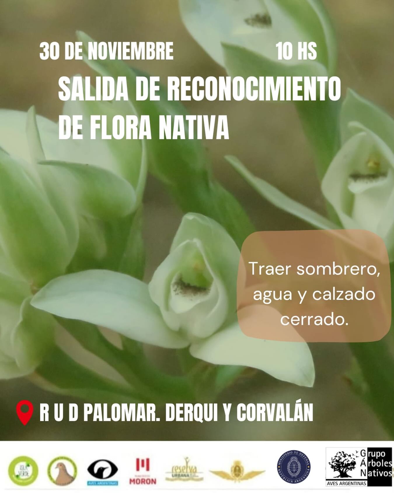 Grupo Arboles Nativos